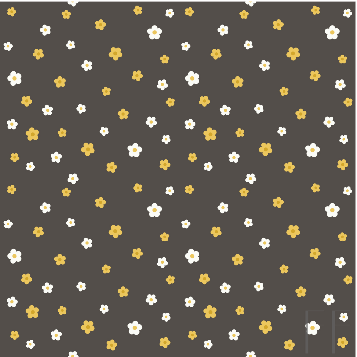 Brown, yellow, white flowers