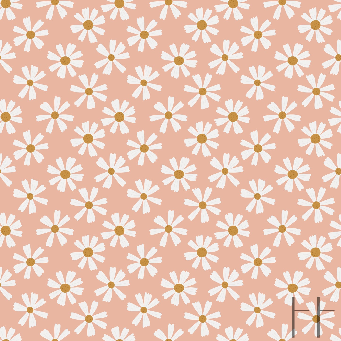 Daisy on pink