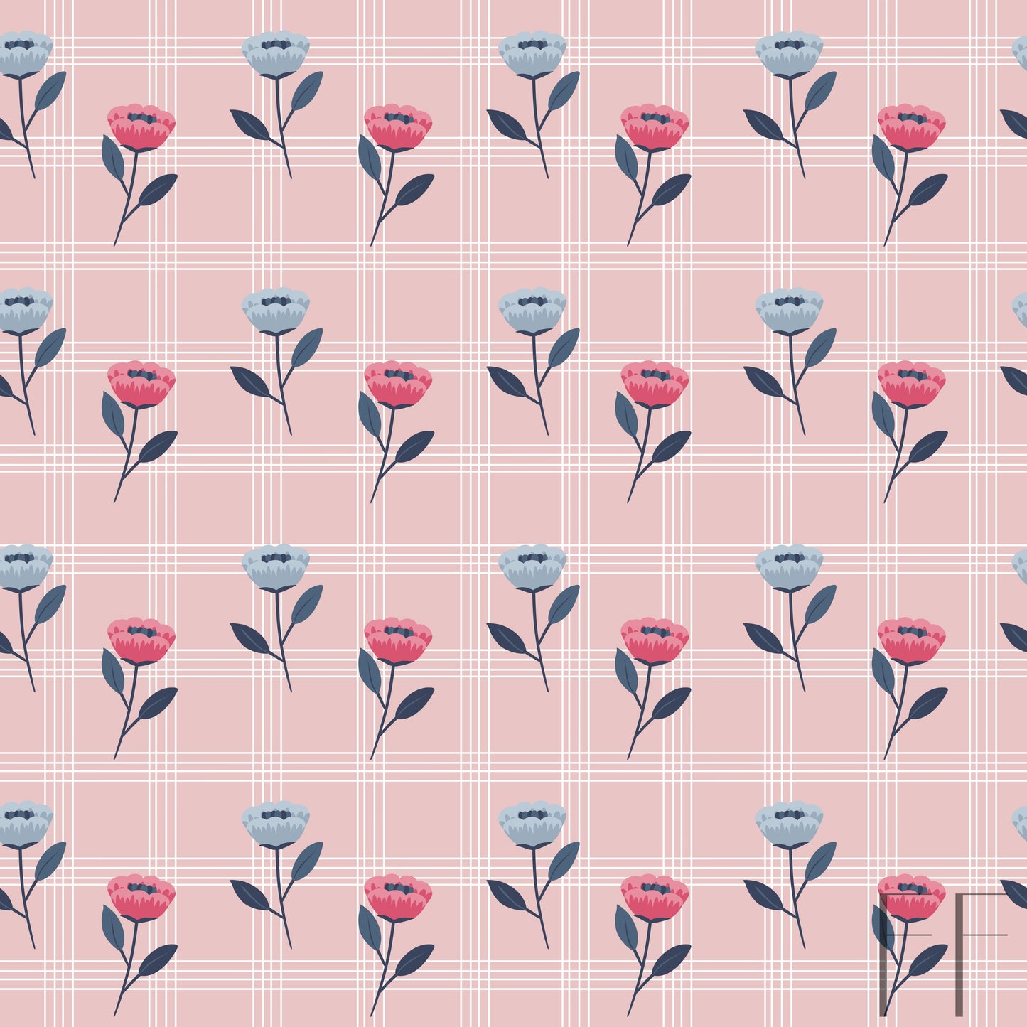 Tulip on pink