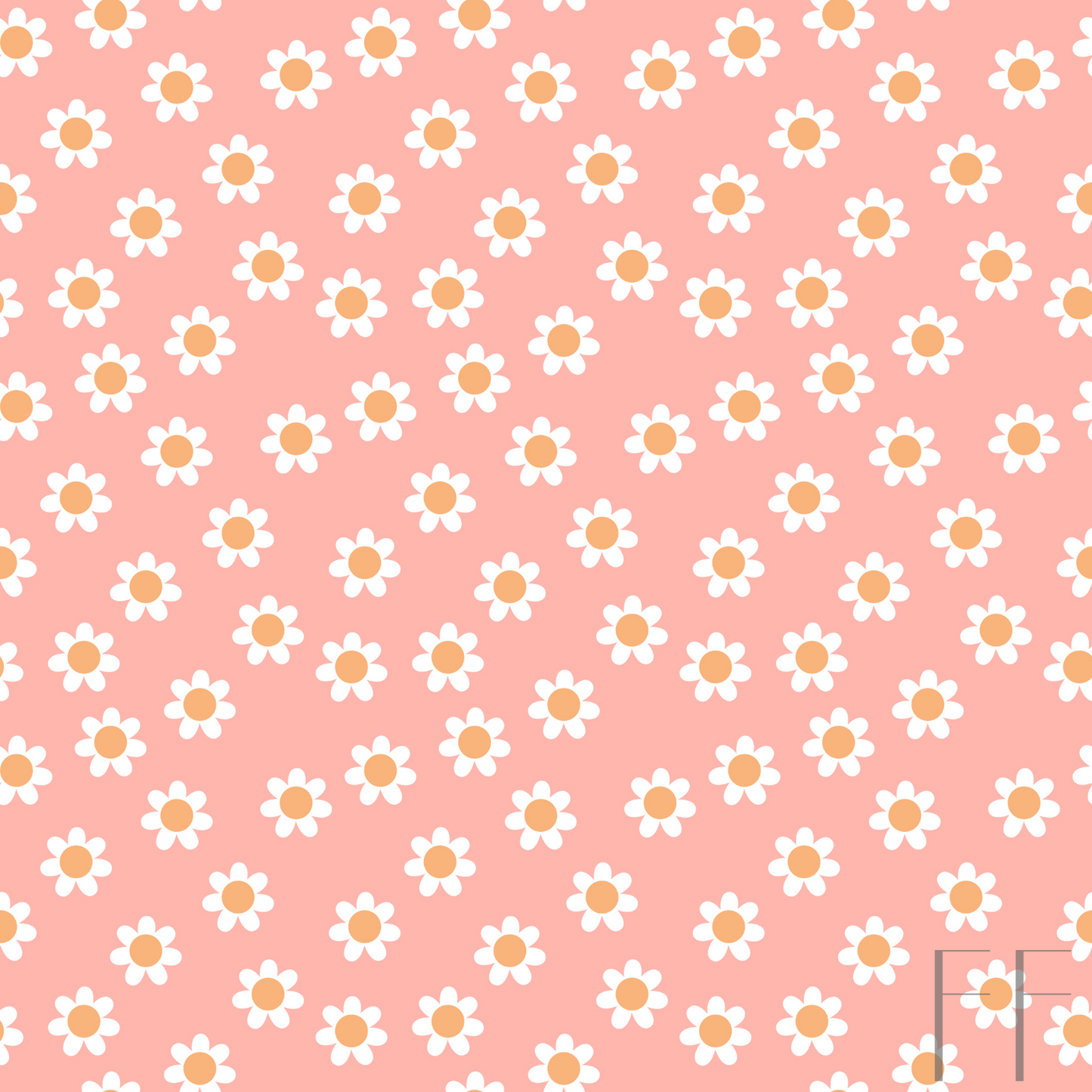 white, pink daisy