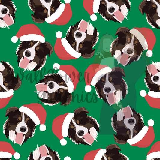 Christmas Australian Shepherd-Solid