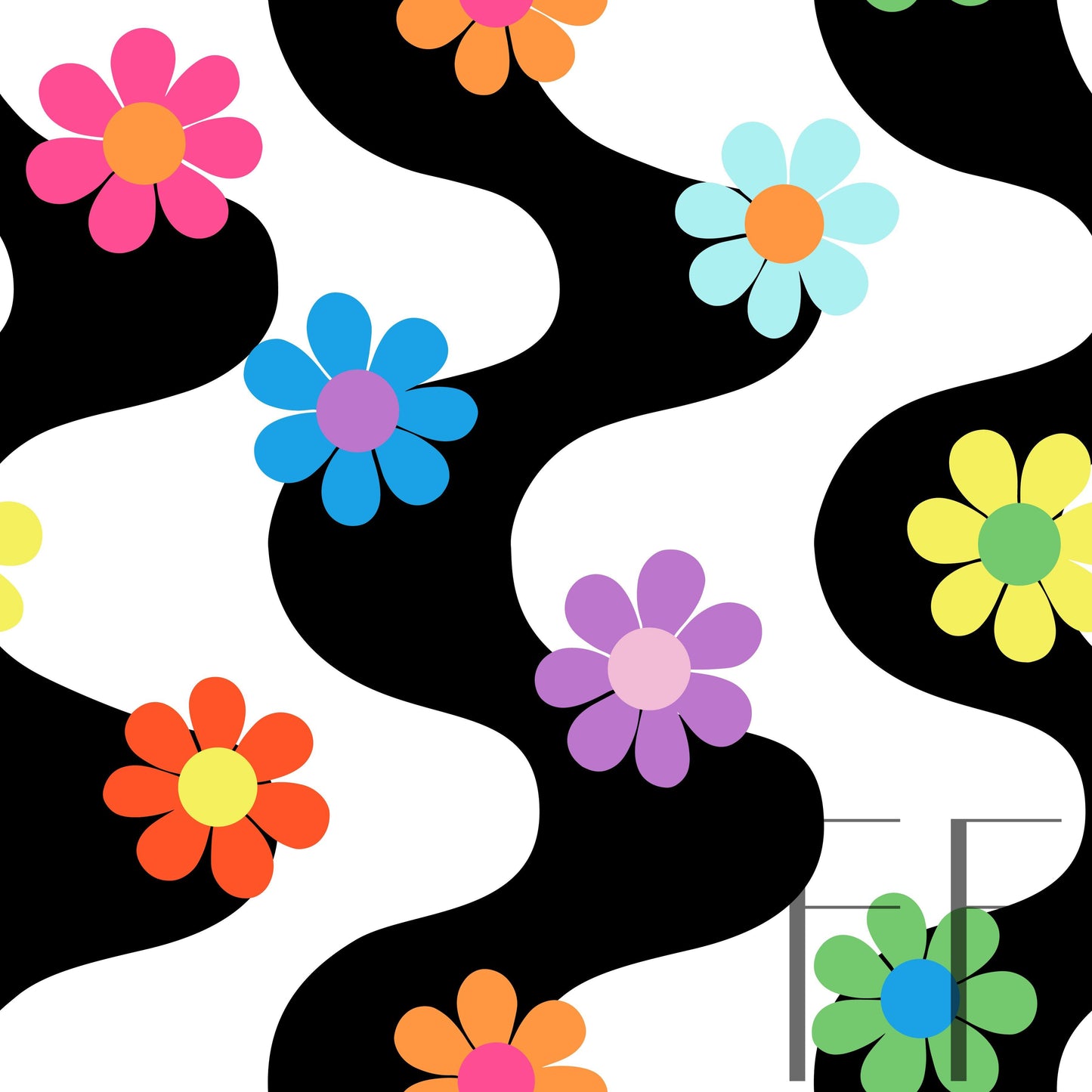 Groovy Daisy Rainbow Black raspberry Pattern