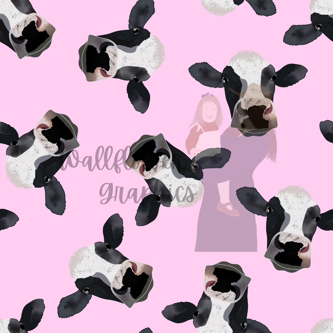 Dairy cows on pink