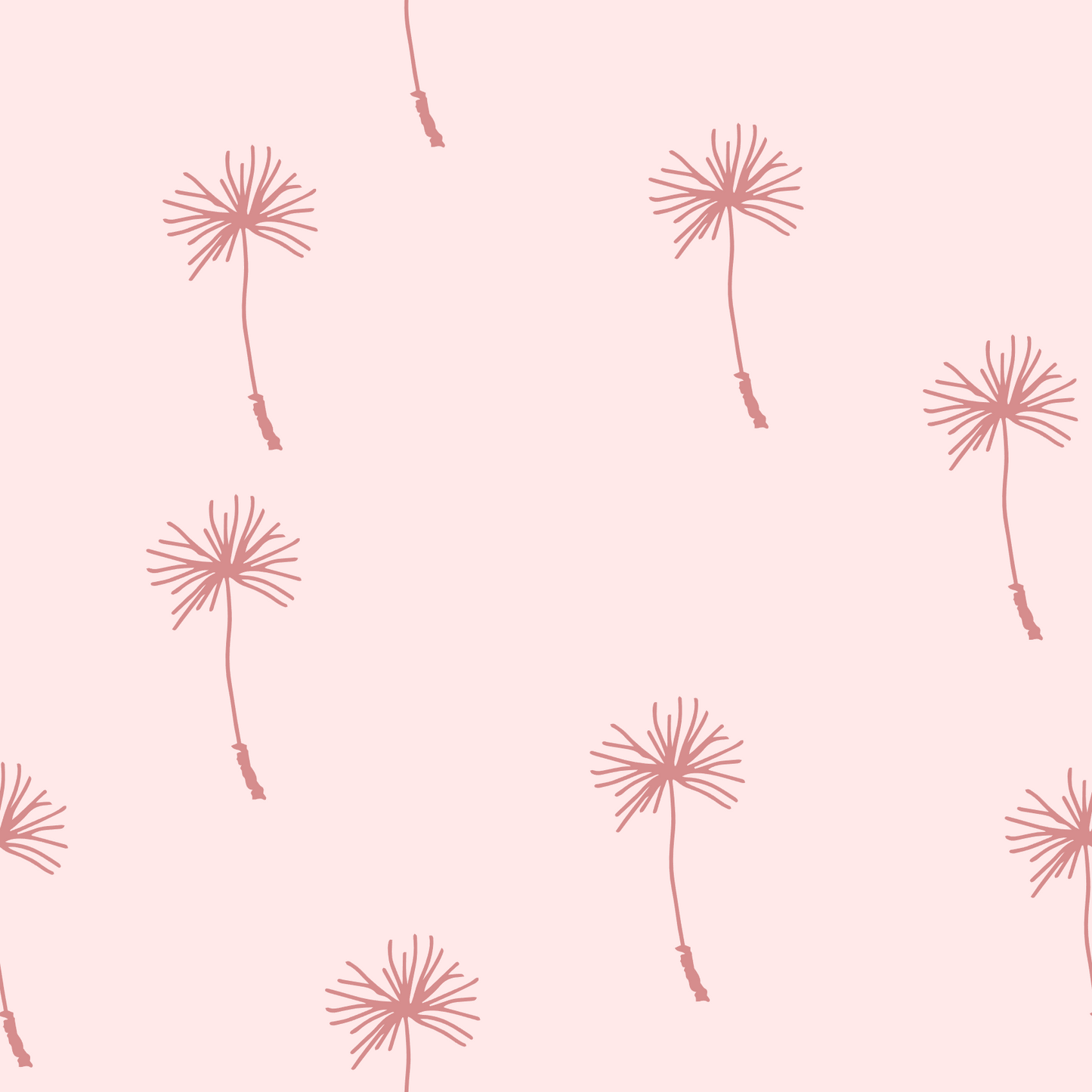 Pink Dandilion