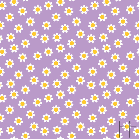 Purple daisy