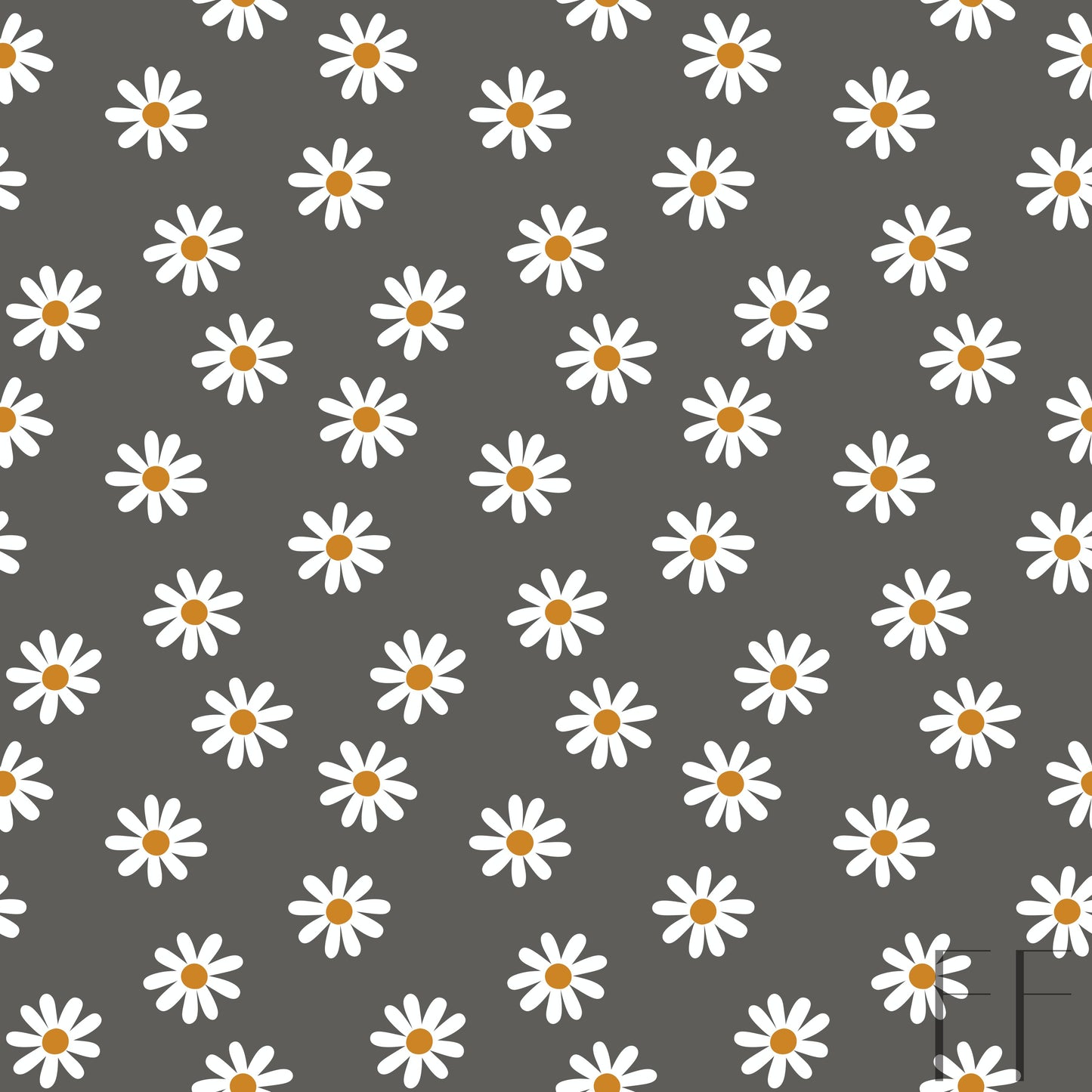 Daisy on grey