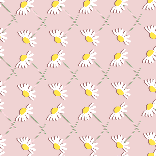 pink daisies